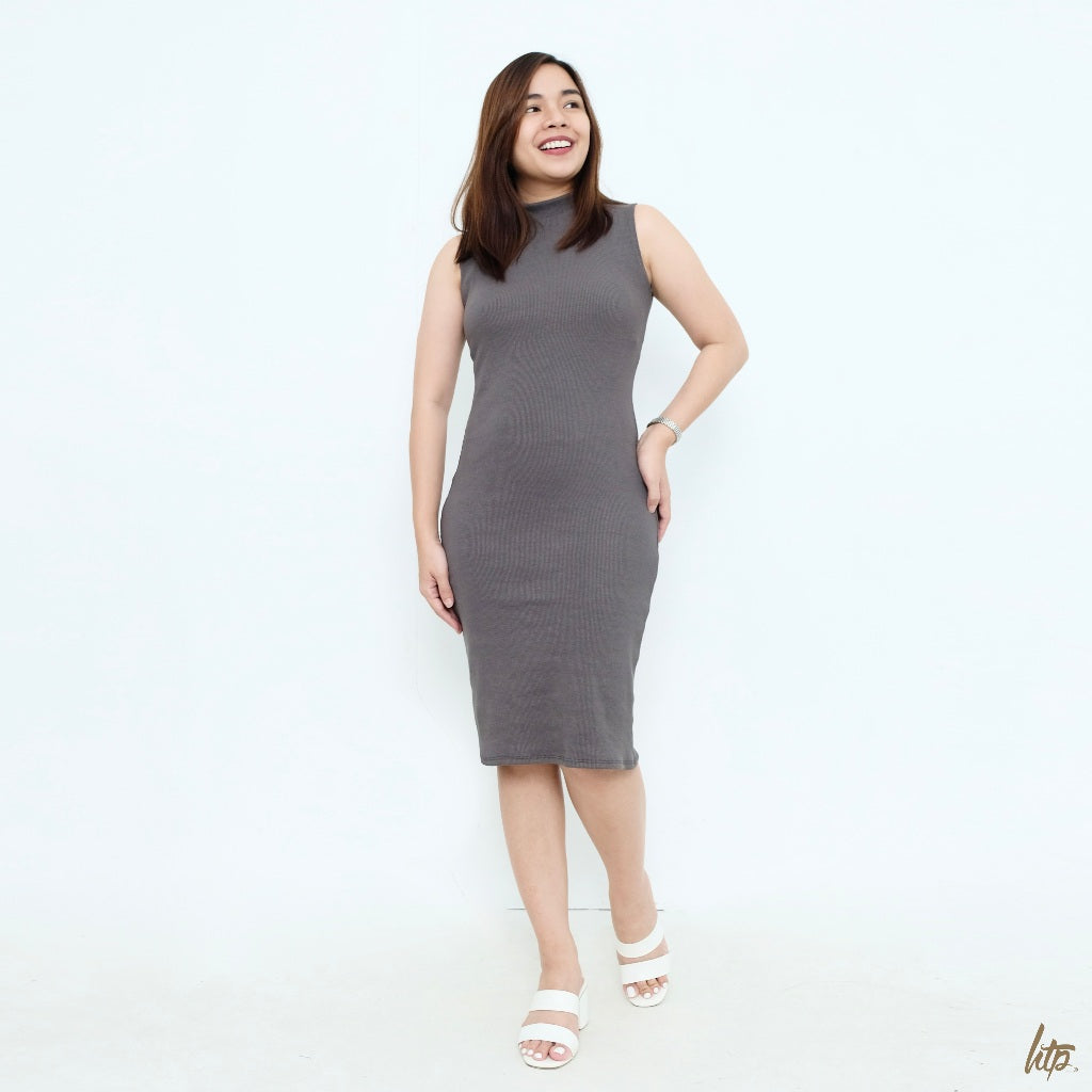 HTP Sleeveless Turtleneck Dress